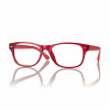 Čtecí brýle R0631 vel. 53